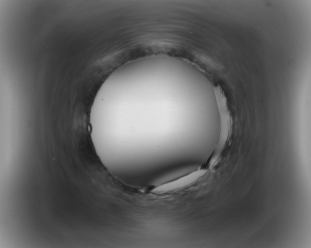 X0000084021061200703091943