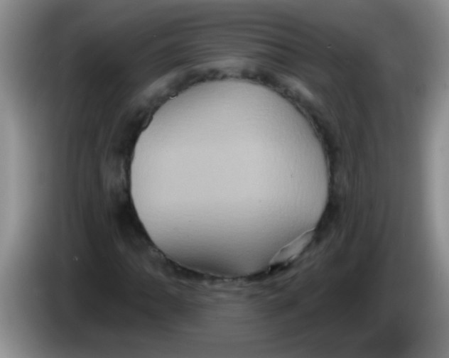 X0000084021062200703091943