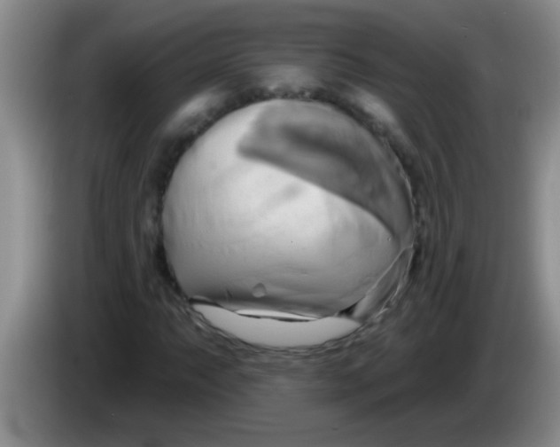 X0000084021063200703091943