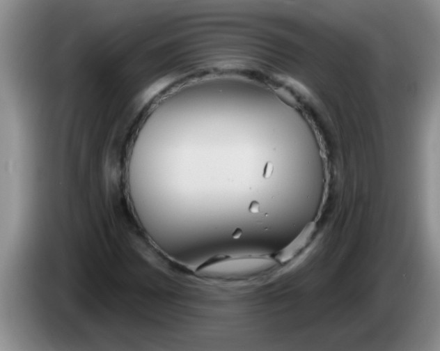 X0000084021065200703091943