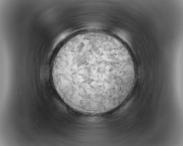 X0000084021067200703091943