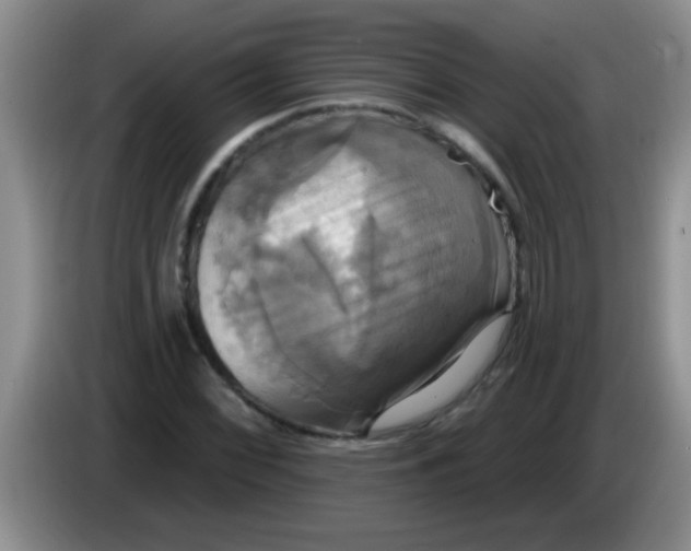 X0000084021068200703091943