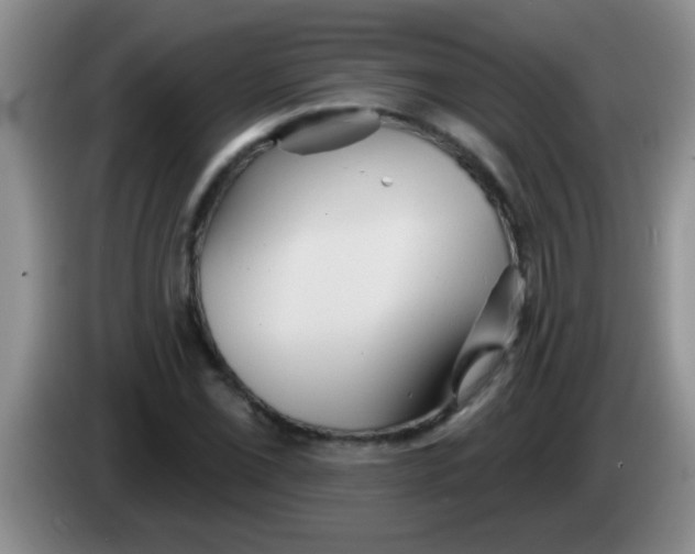 X0000084021069200703091943