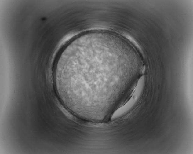 X0000084021072200703091943