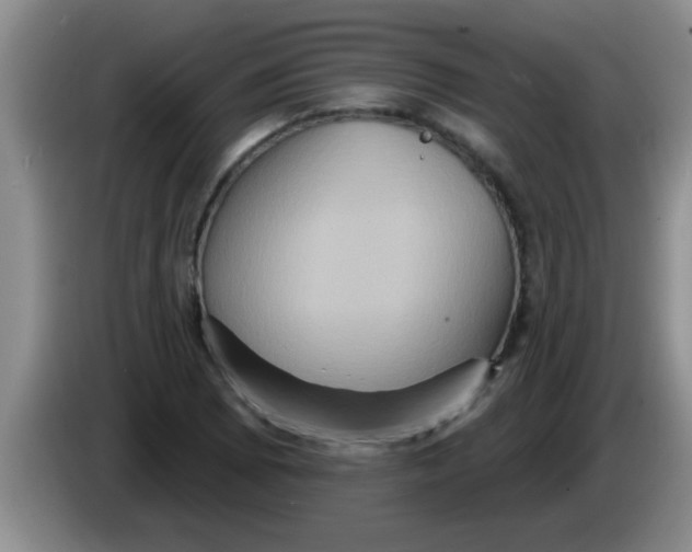 X0000084021073200703091943