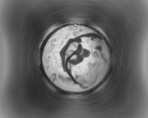 X0000084021075200703091943