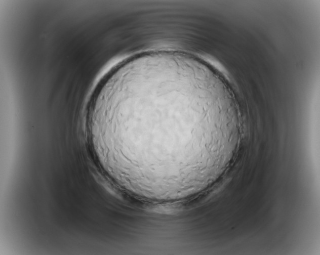 X0000084021078200703091943