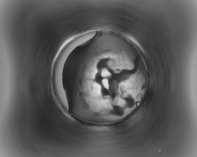 X0000084021079200703091943