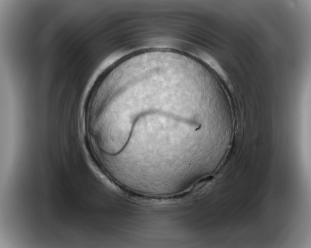 X0000084021080200703091943