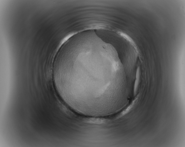 X0000084021081200703091943