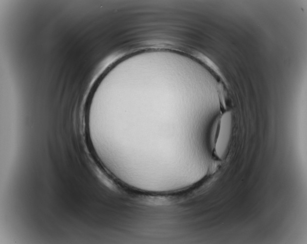 X0000084021082200703091943