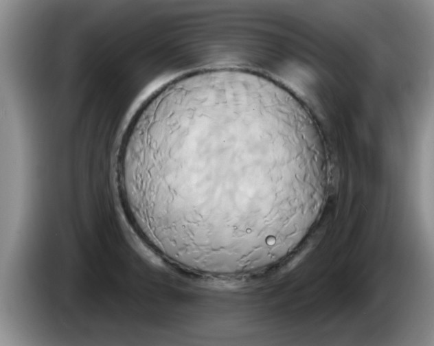 X0000084021086200703091943