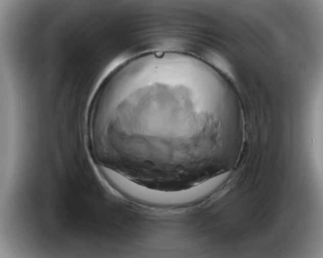 X0000084021087200703091943