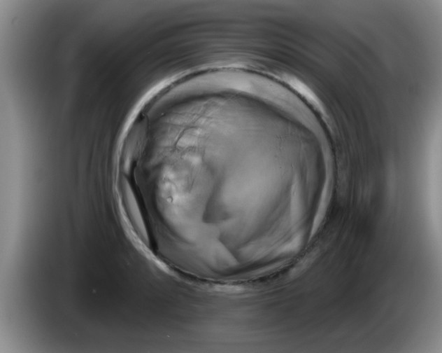 X0000084021088200703091943