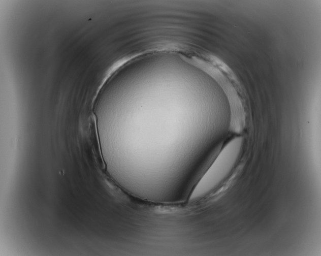 X0000084021089200703091943