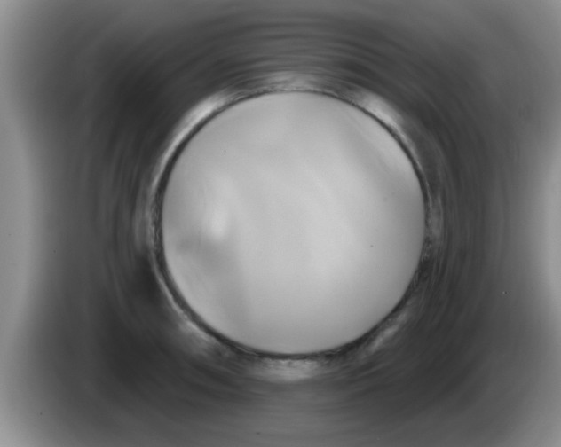 X0000084021090200703091943