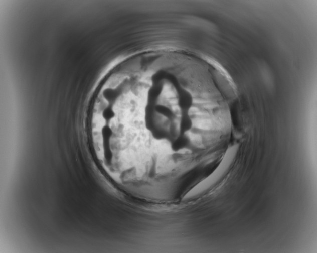 X0000084021091200703091943