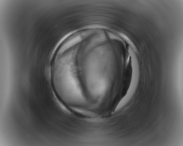 X0000084021092200703091943