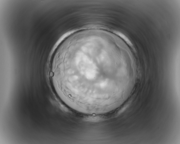 X0000084021094200703091943