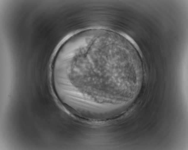 X0000084021096200703091943