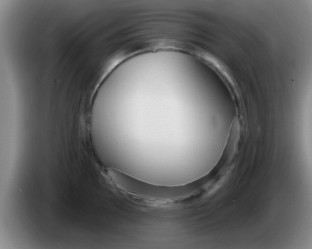 X0000084021097200703091943