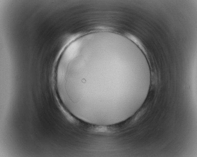 X0000084021098200703091943