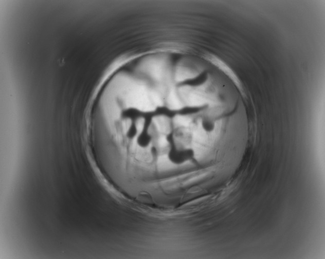 X0000084021099200703091943