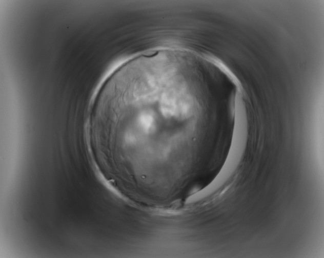 X0000084021100200703091943