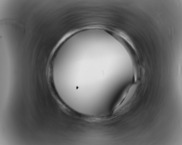 X0000084021101200703091943