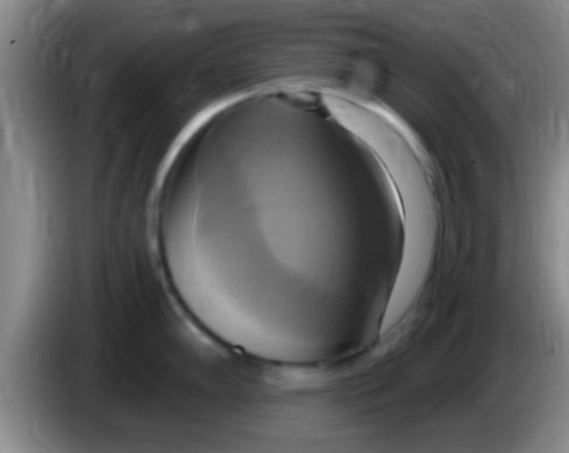 X0000084021102200703091943