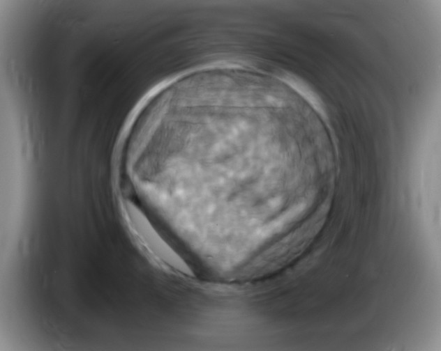 X0000084021104200703091943