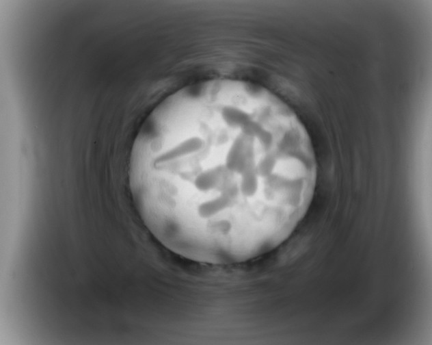 X0000084021105200703091942