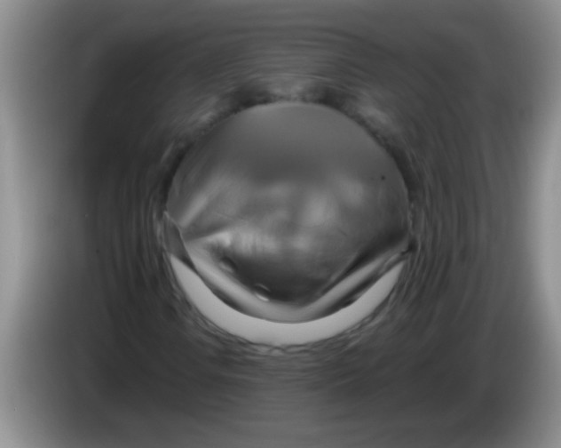 X0000084021106200703091942