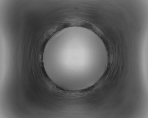 X0000084021108200703091942