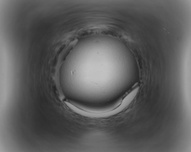 X0000084021109200703091942