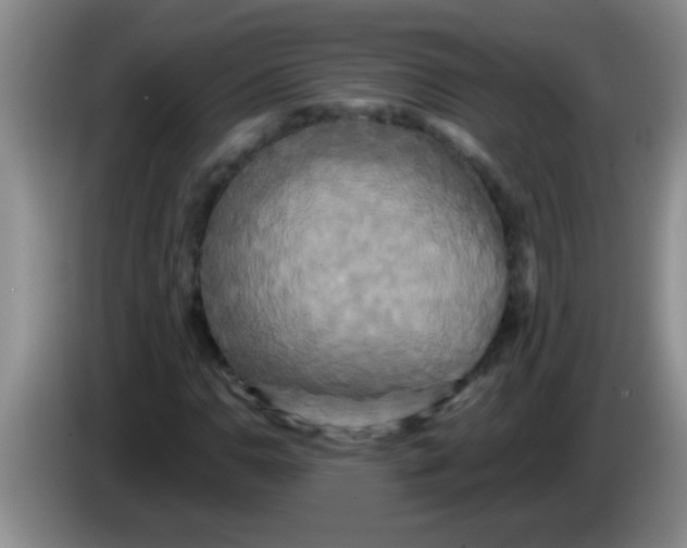 X0000084021110200703091942