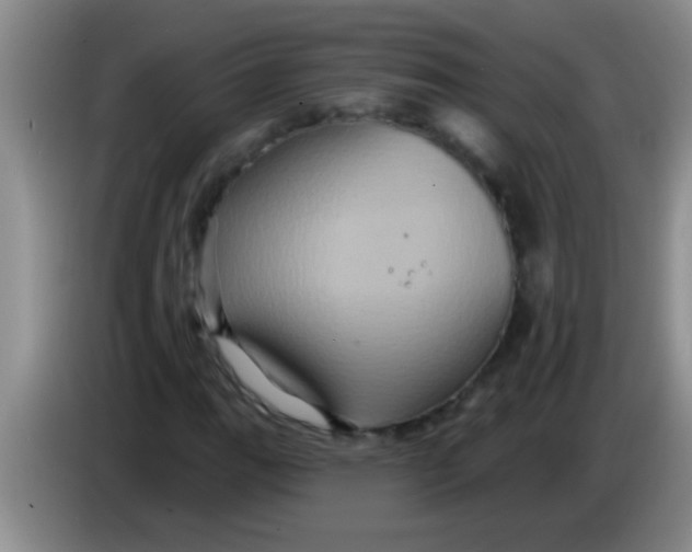 X0000084021111200703091942