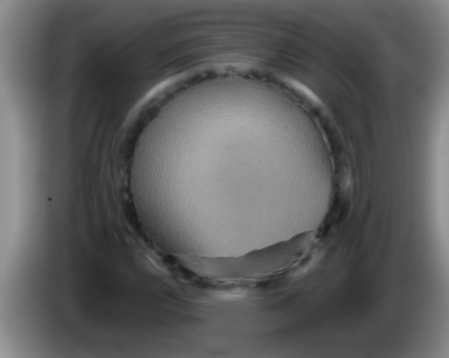 X0000084021112200703091942