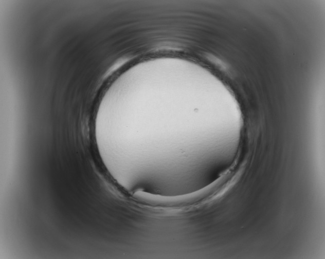 X0000084021113200703091942