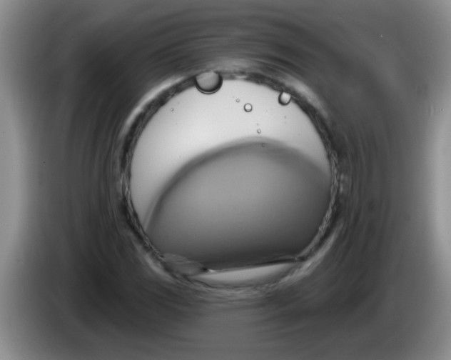 X0000084021117200703091942