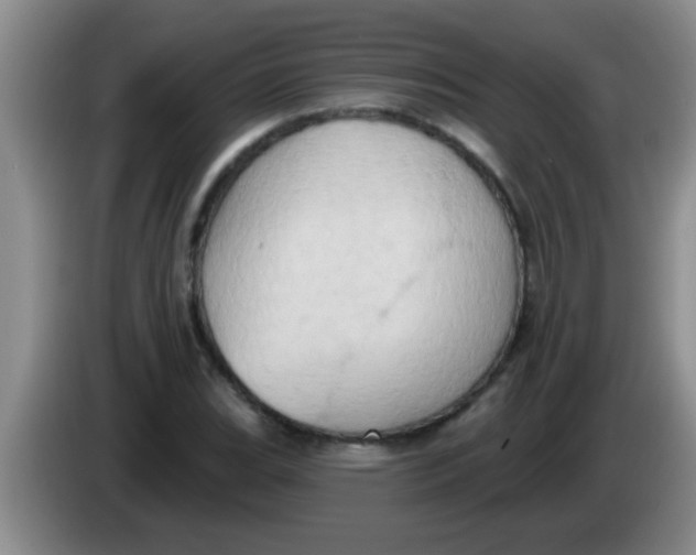 X0000084021119200703091942