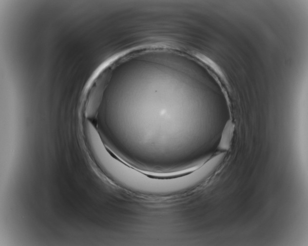 X0000084021120200703091942