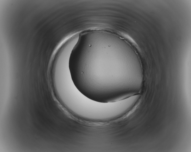 X0000084021122200703091942