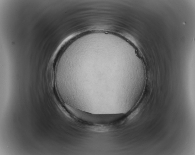 X0000084021123200703091942