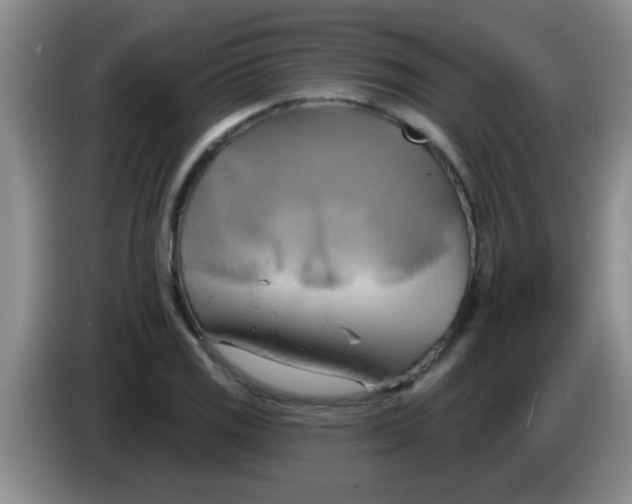 X0000084021125200703091942