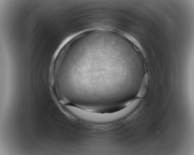 X0000084021128200703091942