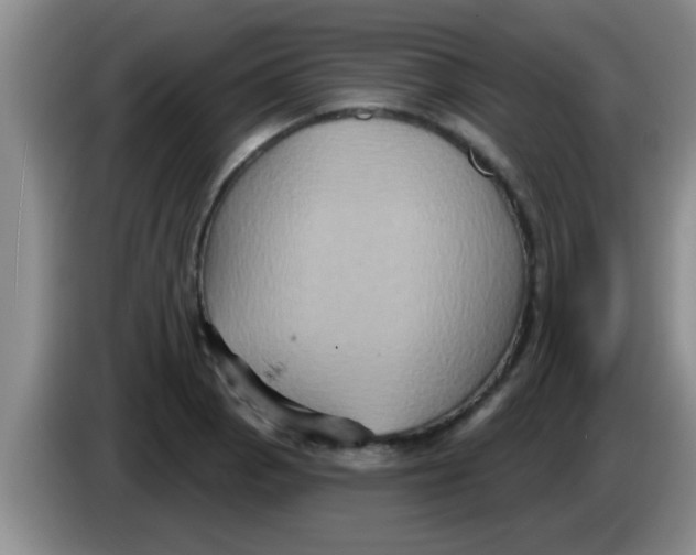 X0000084021129200703091942