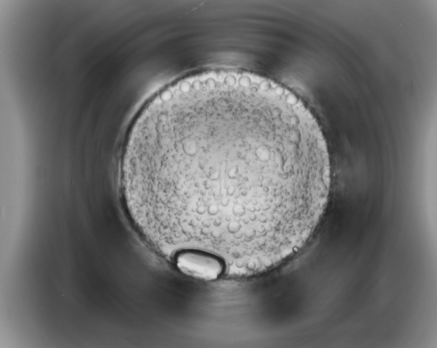 X0000084021130200703091942