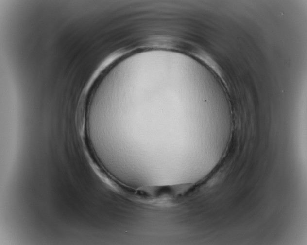 X0000084021131200703091942