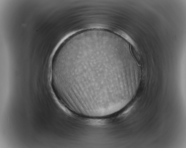 X0000084021132200703091942